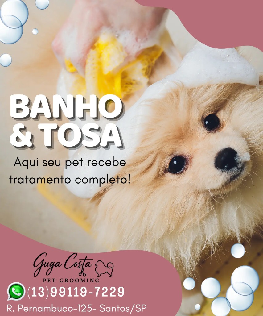 Banho e tosa em Santos na Guga Costa Pet Grooming, Gonzaga — pet recebendo banho com espuma