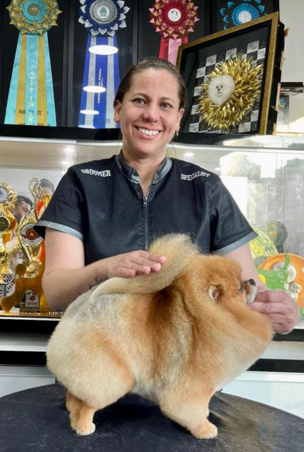 Guga com Lulu laranja e paredão de prêmios e troféus no salão