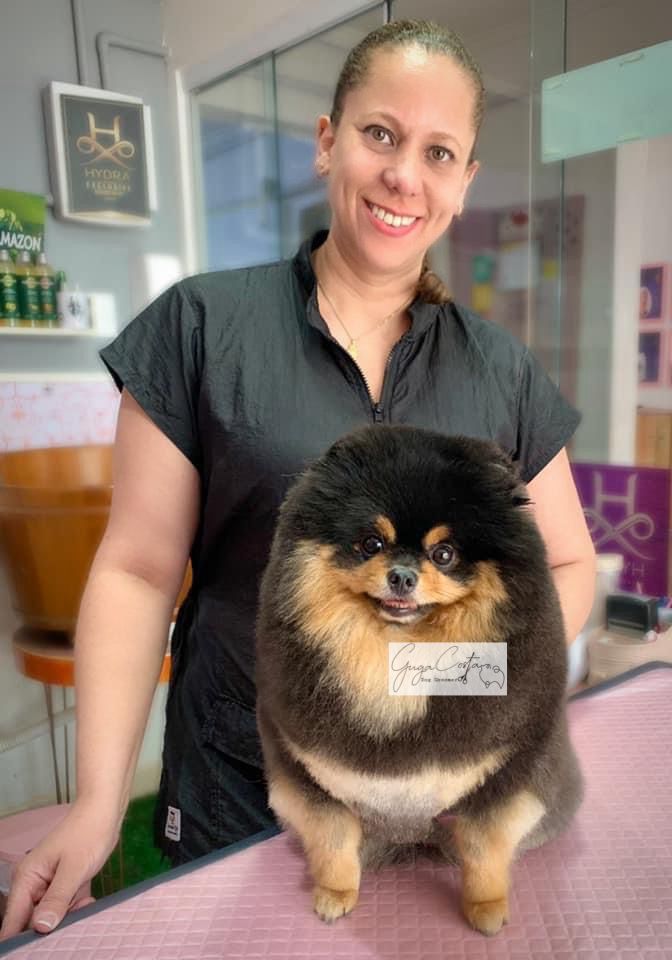 Guga com Spitz preto e caramelo em mesa, salão com vitrines e produtos