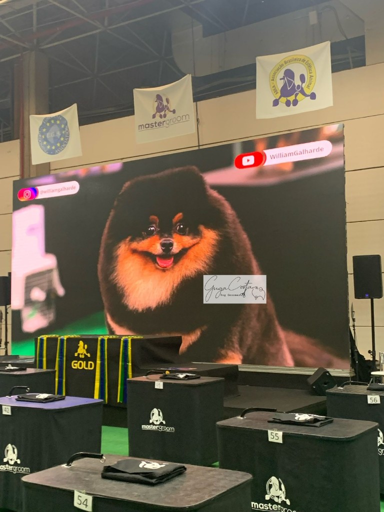 Spitz premiado no telão, palco de evento no Mastergroom, EGA e ABE