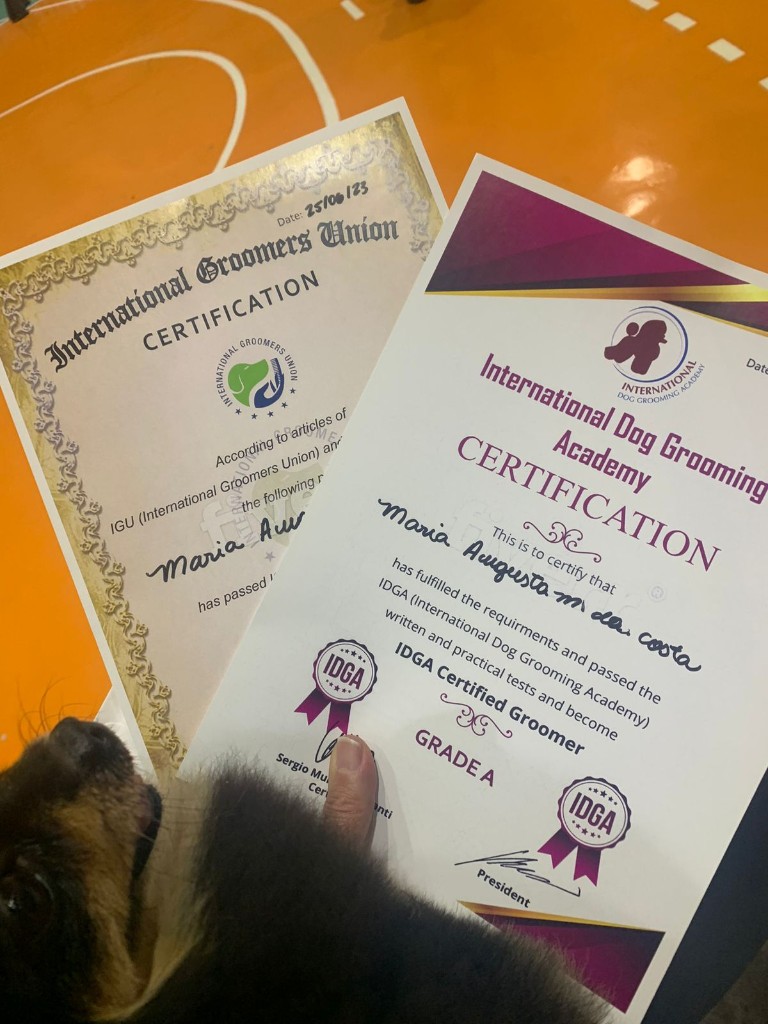 Certificações IGU e IDGA — Grade A, em exibição