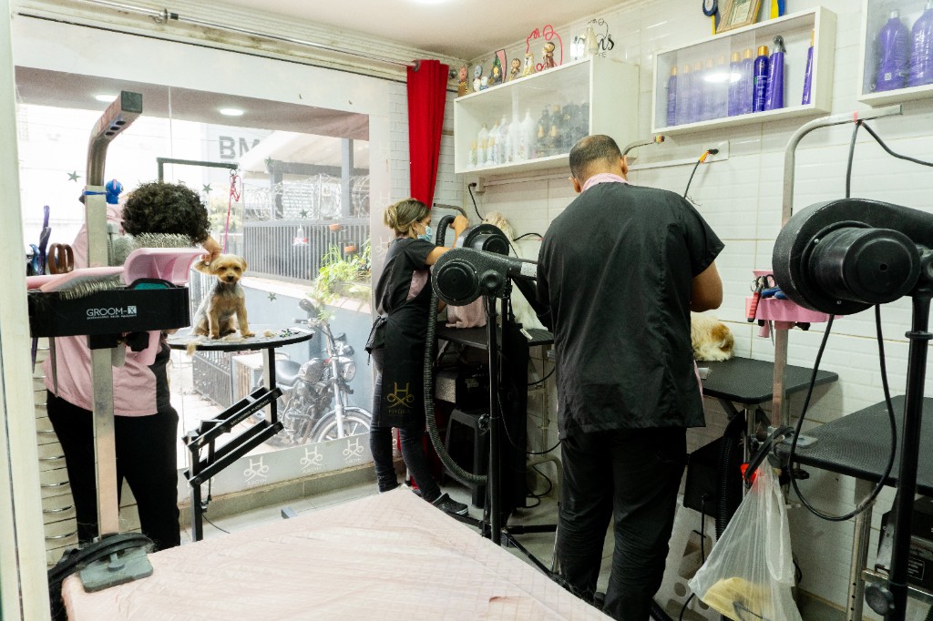 Interior do salão com profissionais a cuidar de cães e colunas de secagem e equipamento ao fundo.