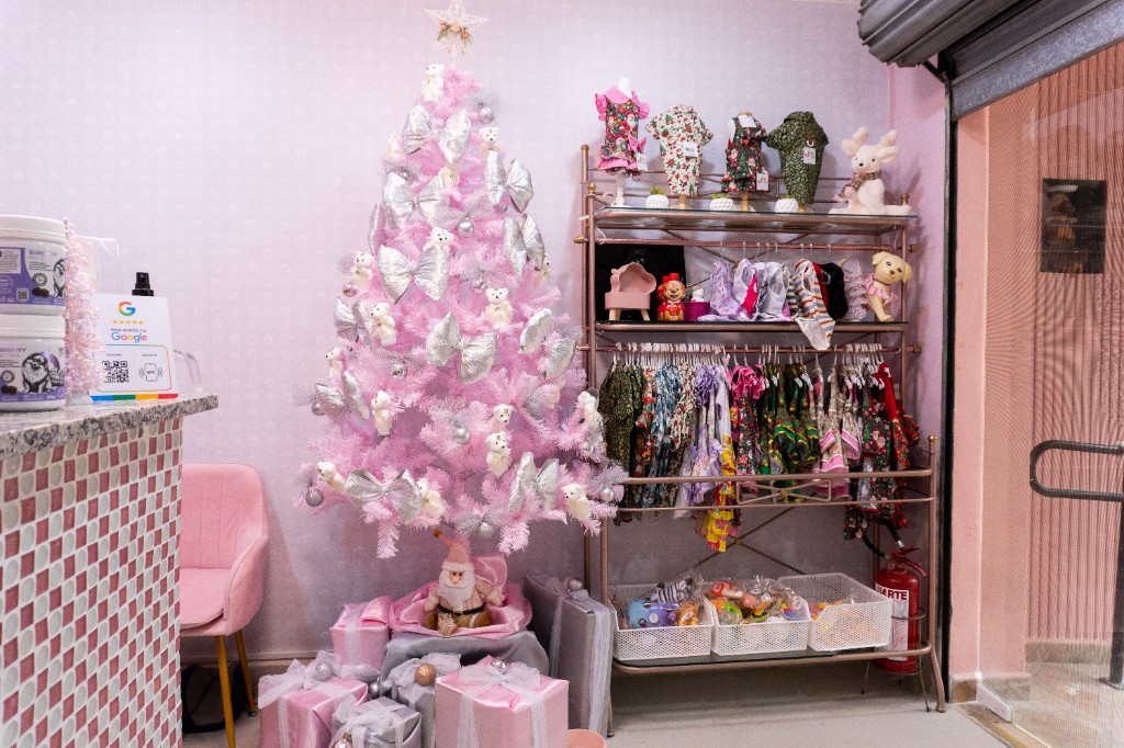 Recepção com balcão, iluminação pendente, plantas e área de espera para tutores.