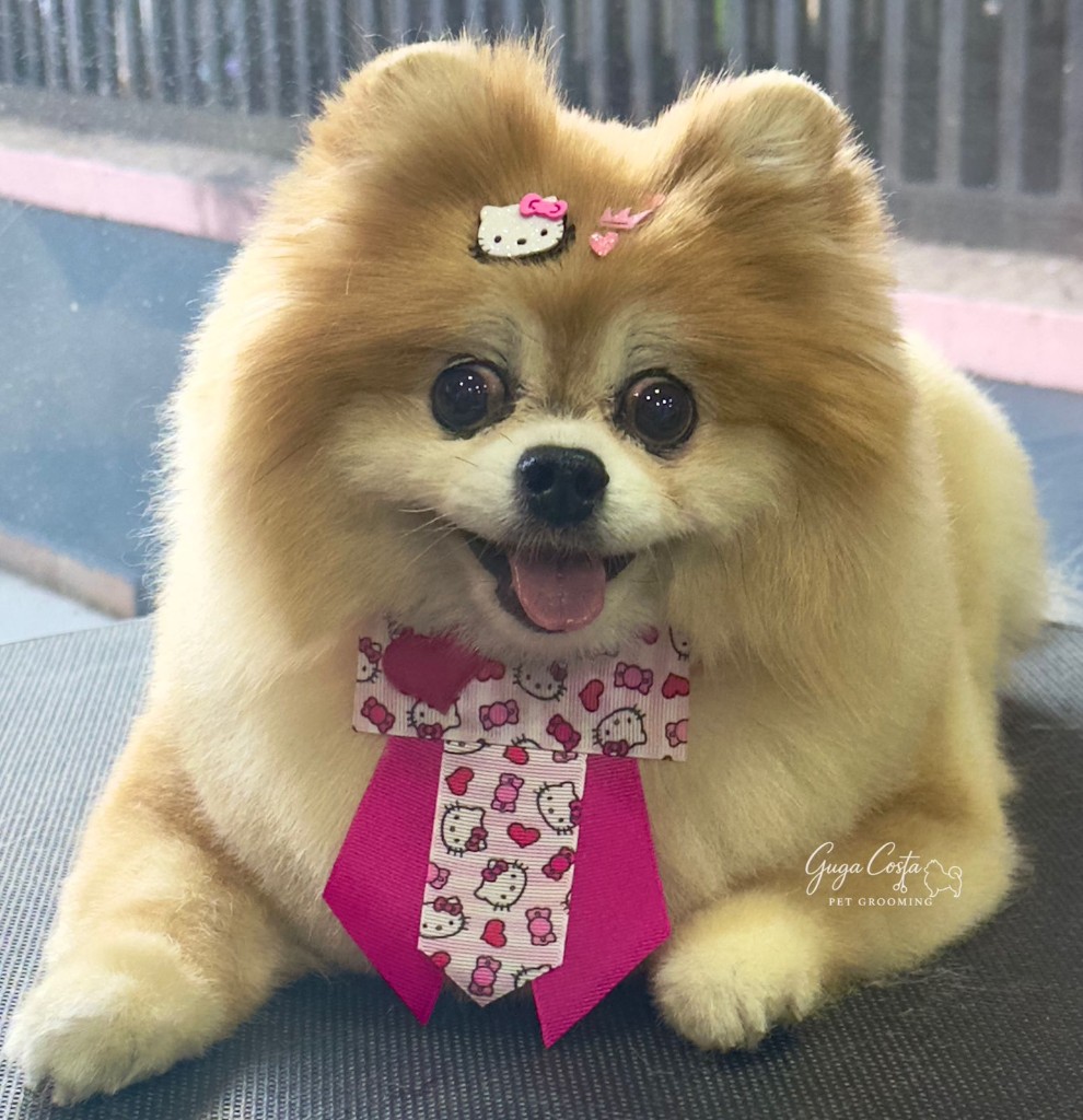 Lulu com tosa ursinho e acessórios Hello Kitty