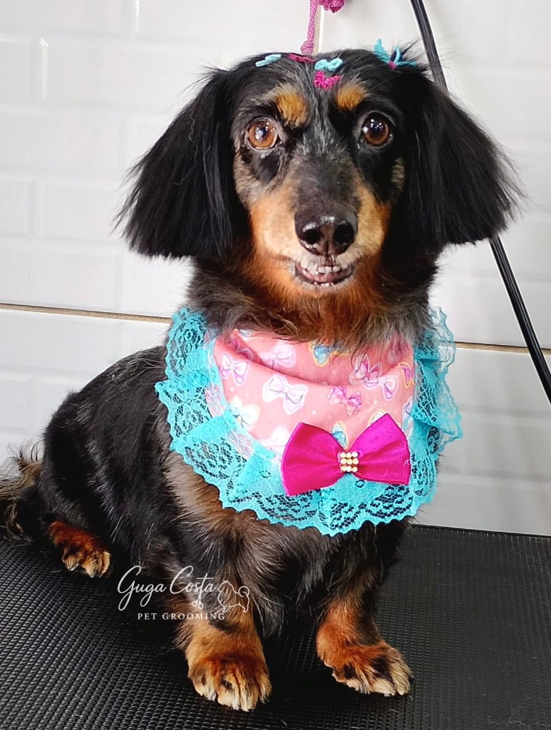 Salsichinha com adereços e acabamento no rosto e orelhas